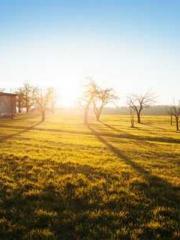 The Stand-in Wife Wa