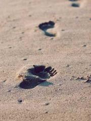 Mr. Shen, overdue an