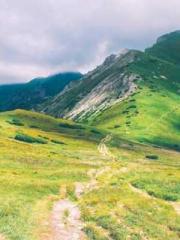 Falling for You: The