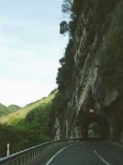 Saintly Gate Venerab