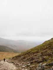 Become a big shot in