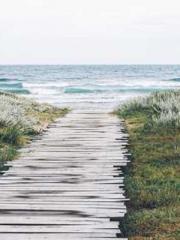 Ling Hao Qin Yuxin R