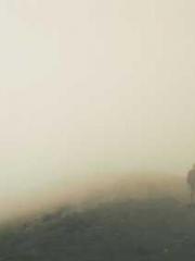 My Sweet Wife: The C