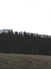 After the Divorce, I