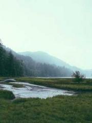 lt;The misfortune of