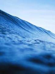 A Wifeapos;s Plea fo