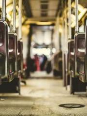 Reborn in the Apocal