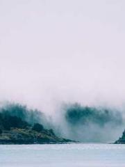 Transmigration: Feel