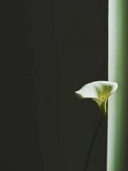 The ambiguous and sw