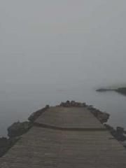 Ling Hao Qin Yuxin R