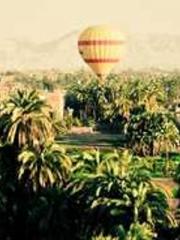 Retired War God Yang