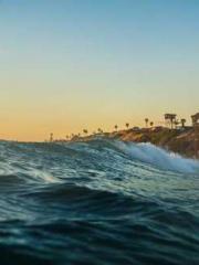 The Return of the Go