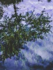 Rebirth of the Urban