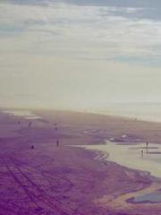 My seven stunning an